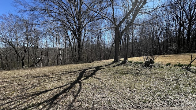 0 N Brewer St, Paris TN, 38242 land for sale