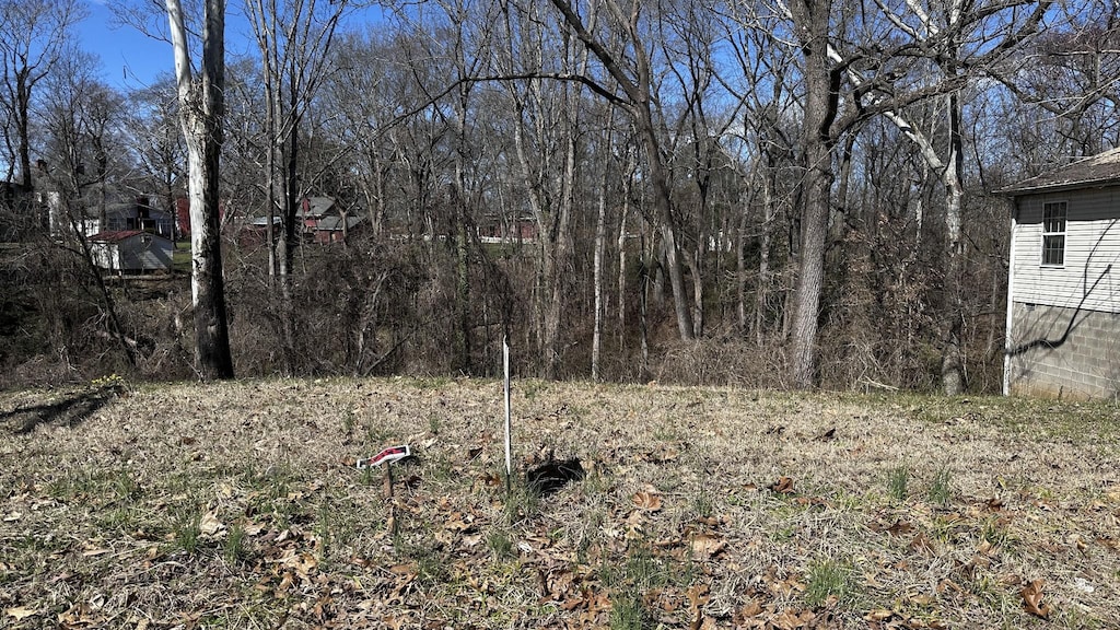 500 N Brewer St, Paris, TN 38242 - photo 1