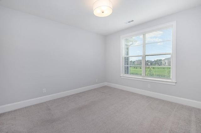 1053 Annecy Pkwy, Nolensville, TN 37135 - photo 54