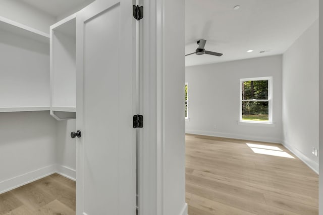 walk in closet with a ceiling fan and wood finished floors