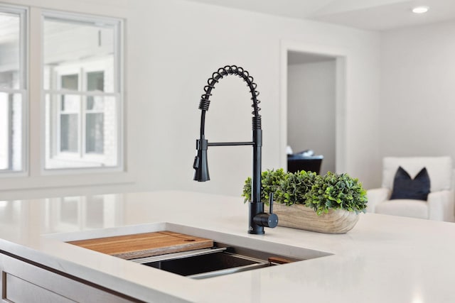 interior details with light countertops and a sink