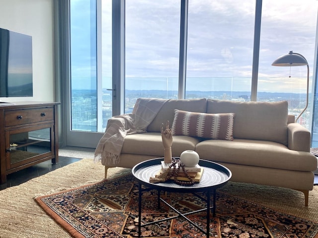 living area featuring a wealth of natural light