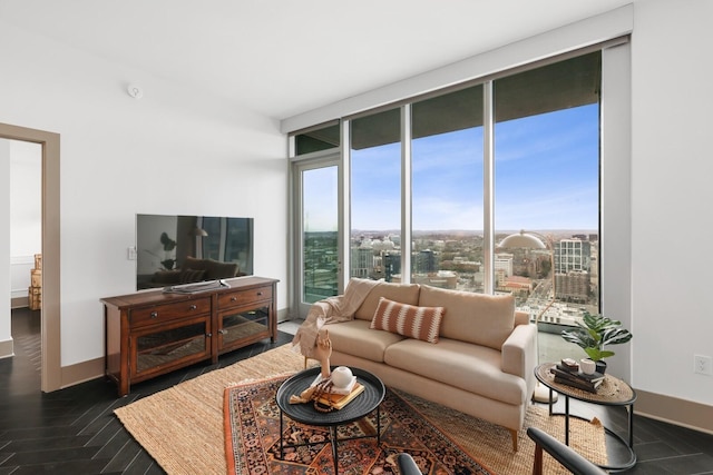 living area featuring expansive windows and baseboards