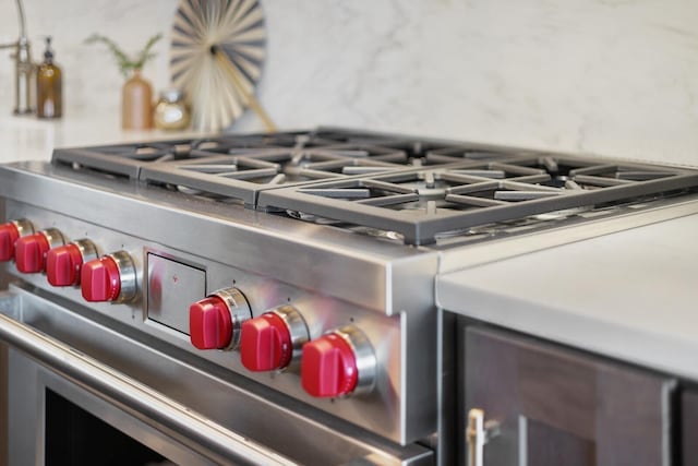 room details featuring high end stainless steel range oven