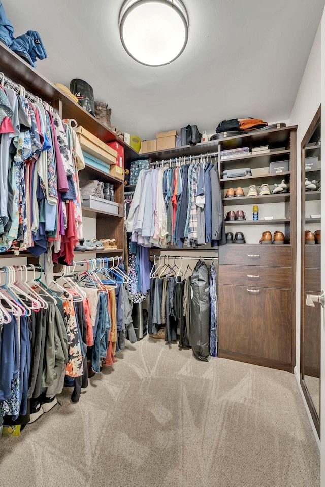 walk in closet featuring carpet floors