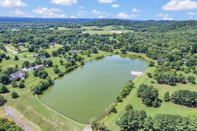 birds eye view of property with a water view and a wooded view