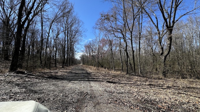 0 Gibson St, Paris TN, 38242 land for sale