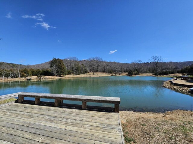 8858 Silver Maple Dr, Ooltewah, TN 37363 - dock area with a water view