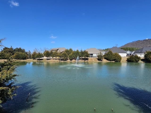 8858 Silver Maple Dr, Ooltewah, TN 37363 - view of water feature