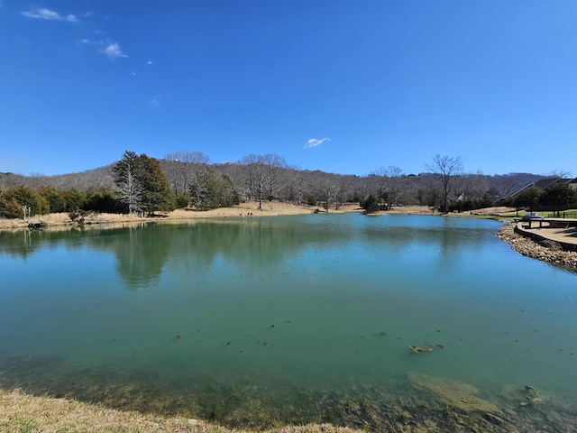 8858 Silver Maple Dr, Ooltewah, TN 37363 - water view