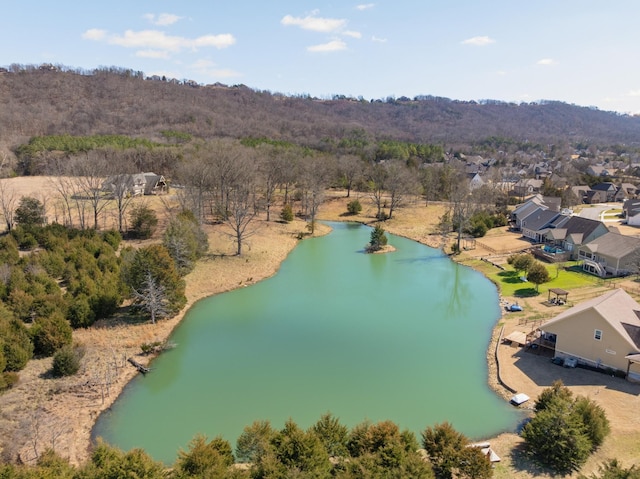 8858 Silver Maple Dr, Ooltewah, TN 37363 - birds eye view of property featuring a water view