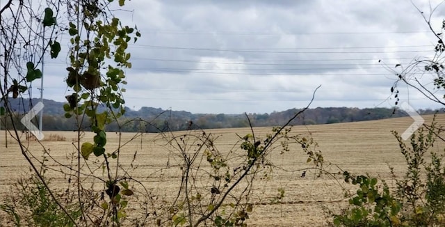 view of yard featuring a rural view