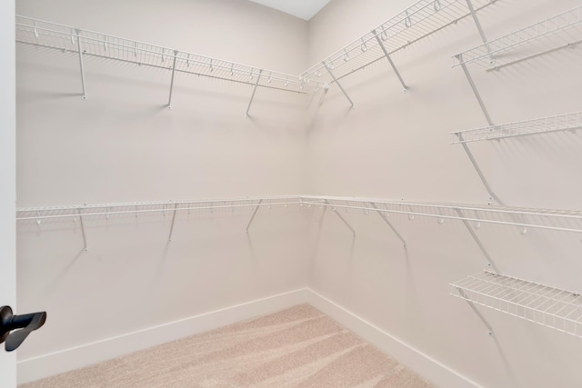 spacious closet with carpet flooring