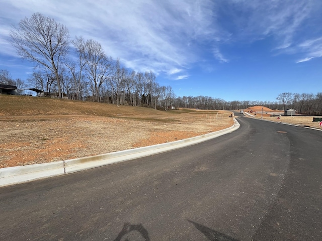 view of street with curbs