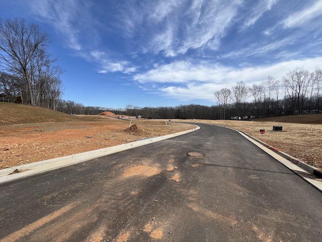 view of road with curbs