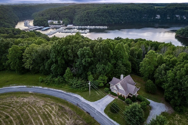 bird's eye view with a water view and a forest view