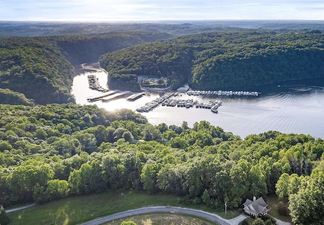 drone / aerial view with a water view and a wooded view