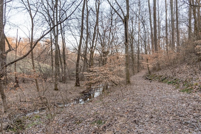 view of nature with a forest view