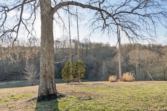 view of yard featuring a wooded view