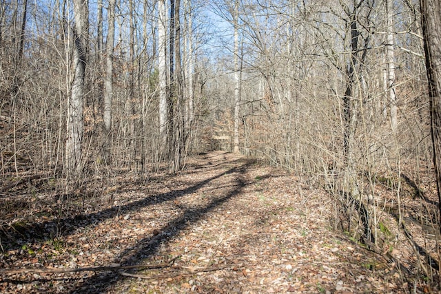 view of local wilderness