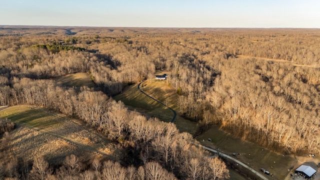 bird's eye view with a forest view