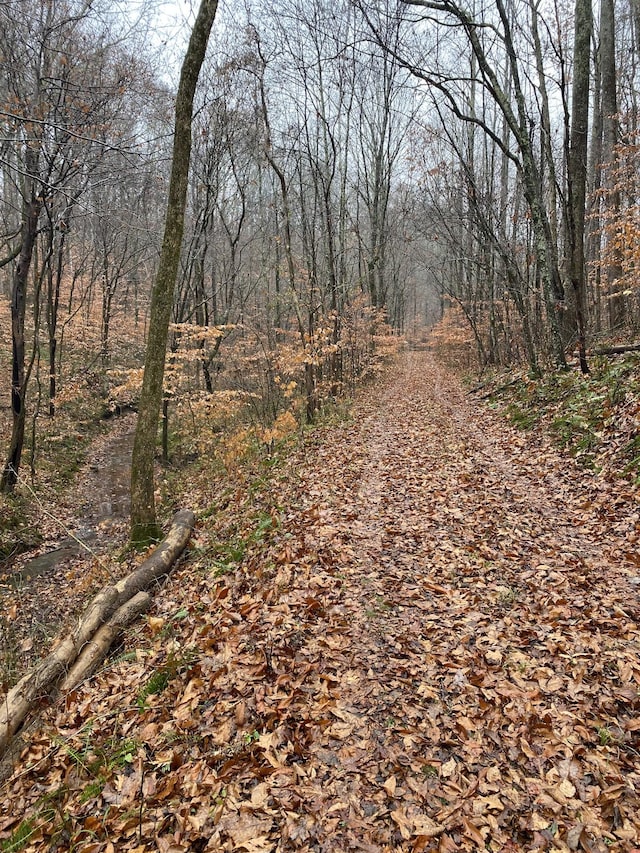 view of road with a wooded view