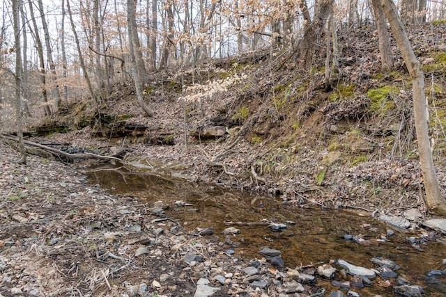 view of landscape