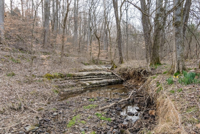 view of nature featuring a wooded view