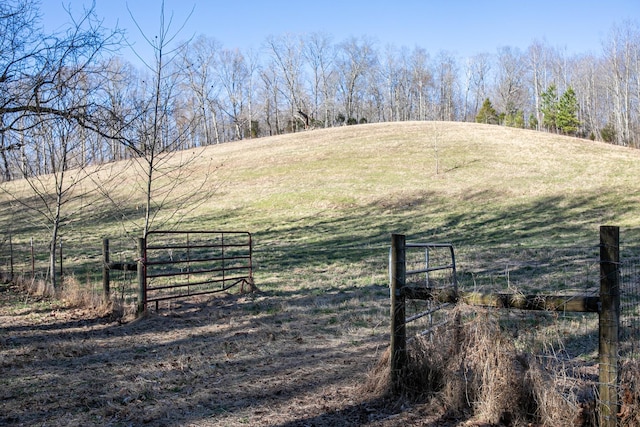 view of yard featuring a rural view, fence, and a gate