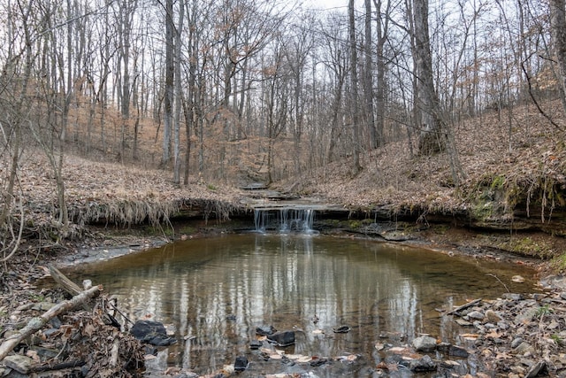 view of water feature