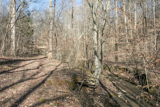 view of nature featuring a wooded view