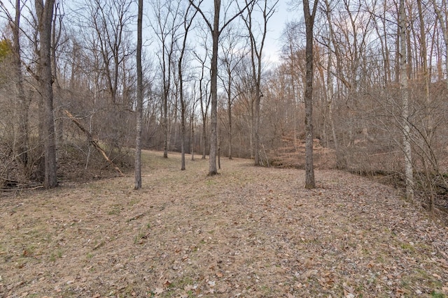 view of local wilderness