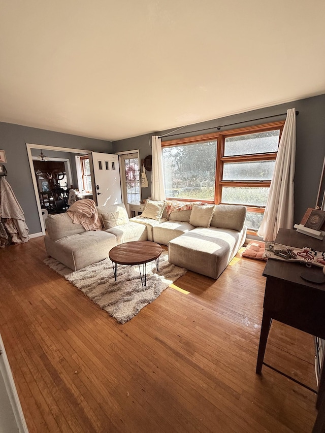 living room featuring wood-type flooring