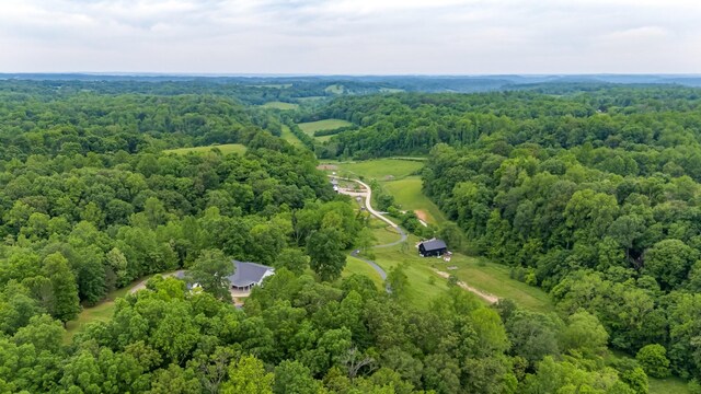 3402 Blackburn Rd, Santa Fe, TN 38482