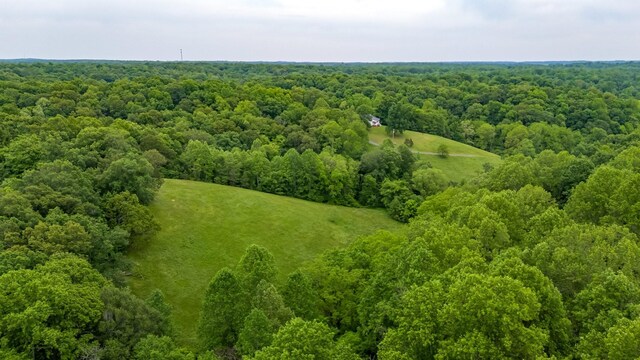 3402 Blackburn Rd, Santa Fe, TN 38482