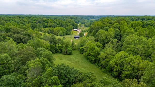 3402 Blackburn Rd, Santa Fe, TN 38482