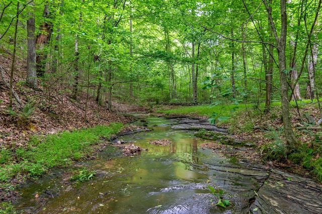 3402 Blackburn Rd, Santa Fe, TN 38482