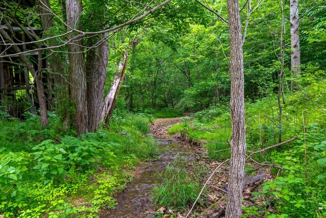 3402 Blackburn Rd, Santa Fe, TN 38482