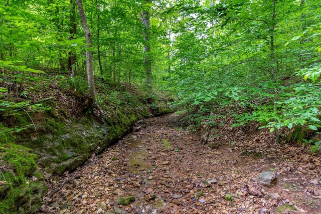 3402 Blackburn Rd, Santa Fe, TN 38482