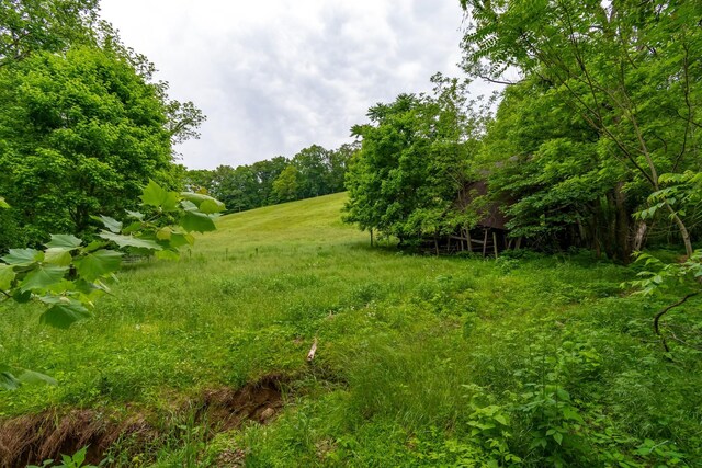 3402 Blackburn Rd, Santa Fe, TN 38482