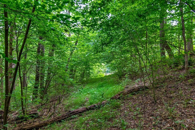 3402 Blackburn Rd, Santa Fe, TN 38482