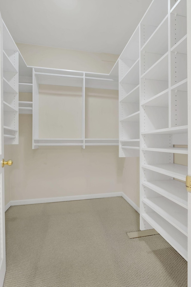 walk in closet with carpet flooring