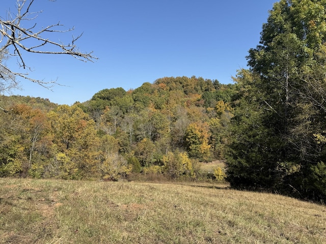 0 Robinson Rd, Frankewing TN, 38459 land for sale