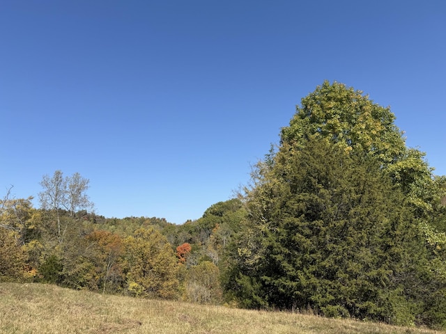 Listing photo 3 for 0 Robinson Rd, Frankewing TN 38459