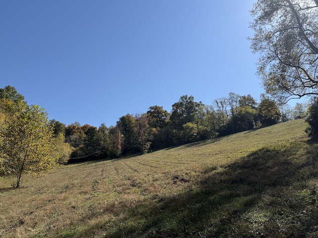 Listing photo 3 for 0 Robinson Rd, Frankewing TN 38459