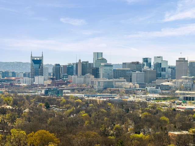 view of city