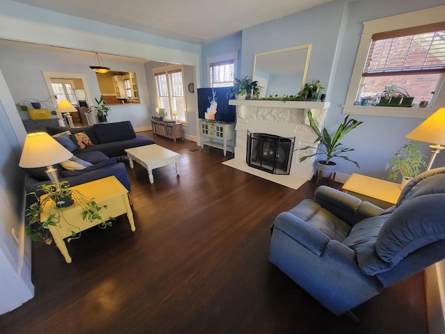 living area with a fireplace and wood finished floors