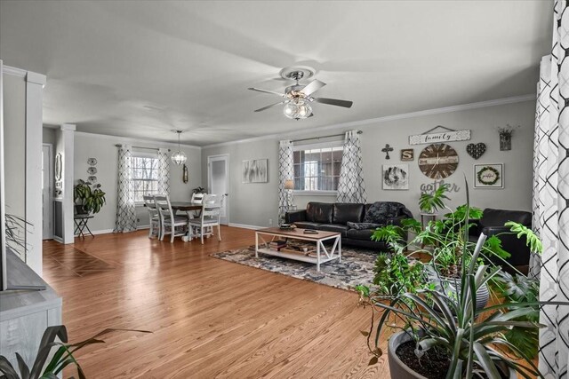 living area with crown molding, a ceiling fan, and light wood-style floors