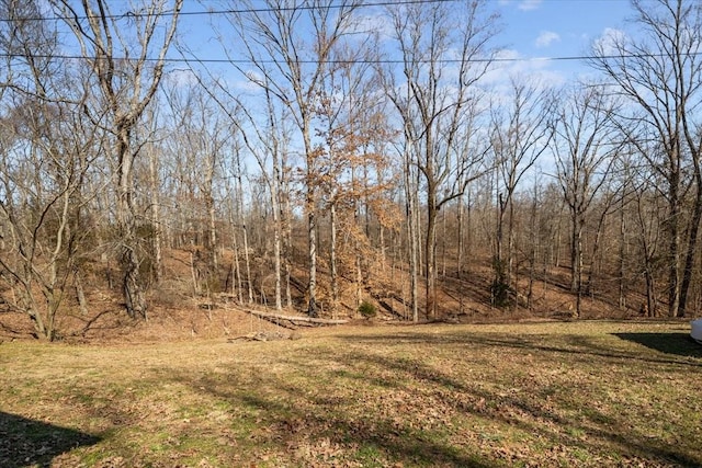 view of local wilderness with a view of trees