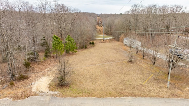 Listing photo 2 for 112 Oak Ridge Dr, Waverly TN 37185